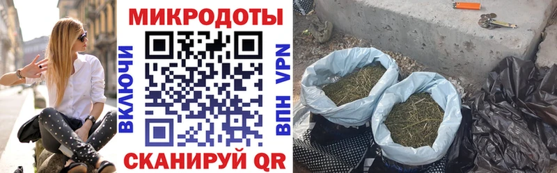 Псилоцибиновые грибы Psilocybe  Шумерля 