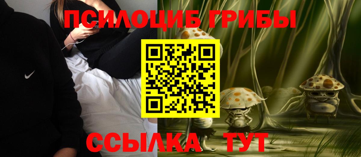 где продают наркотики  Вход с VPN  Шумерля  Галлюциногенные грибы MAGIC MUSHROOMS 