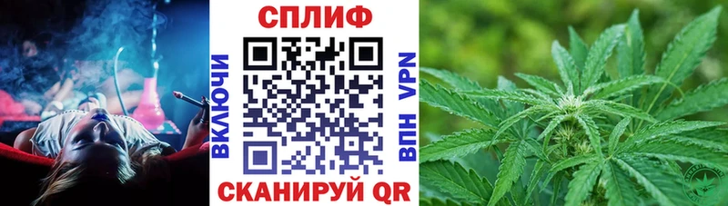 купить закладку  mega сайт  Бошки Шишки индика  Шумерля 